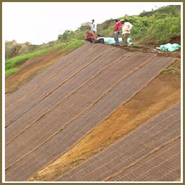Slope Erosion Control